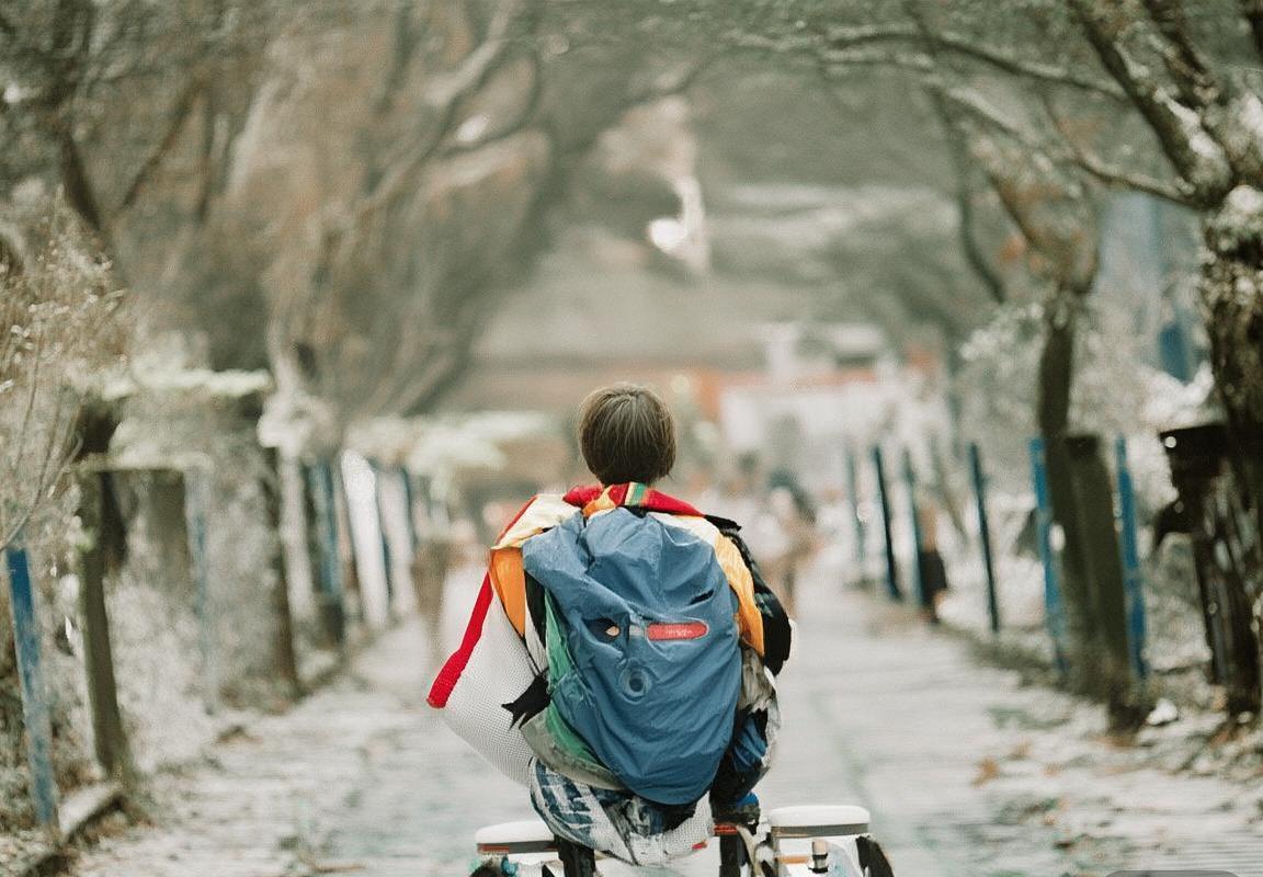 拜仁慕尼黑主场胜弗莱堡：德甲巅峰对决精彩回顾(图1)